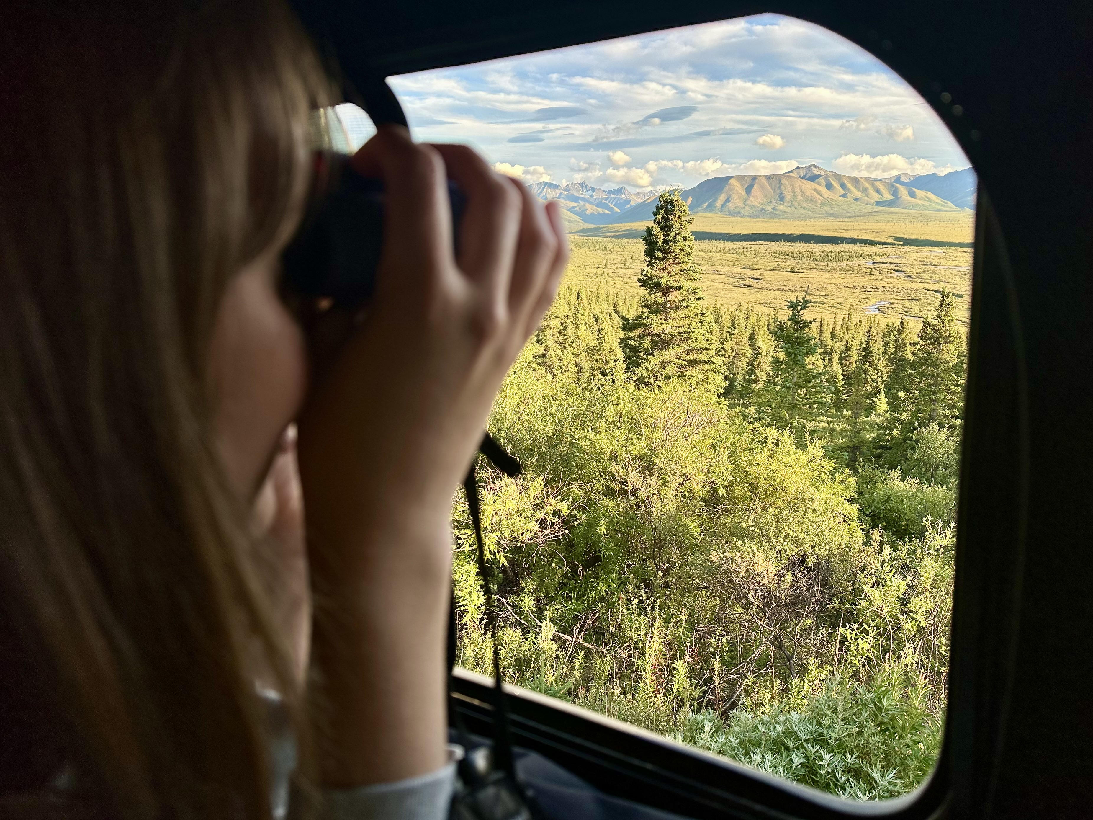 szukanie zwierząt w Denali